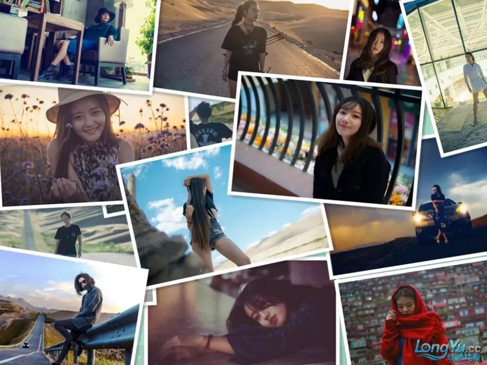 一招教你选龙鱼,龙鱼饲养经验交流