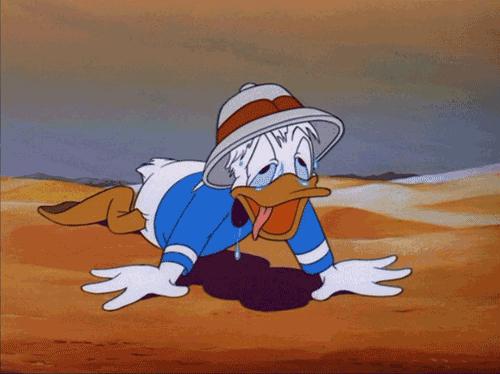 这个端午节要这样玩，千万别错过了！