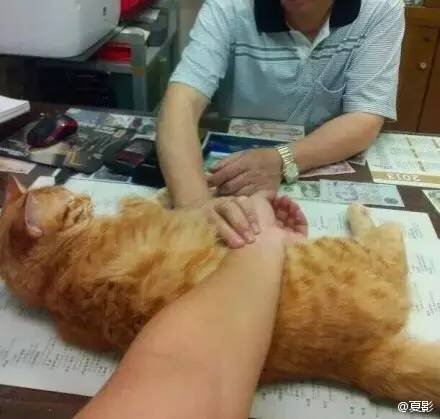 看魔兽影片,看魔兽应该知道的事