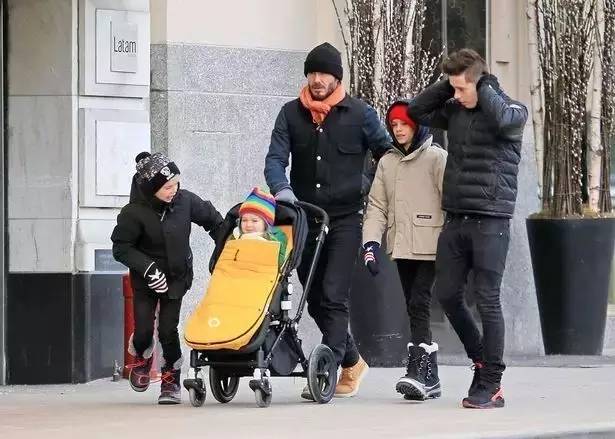 她这么胖,凭什么拿下小贝家大公子?