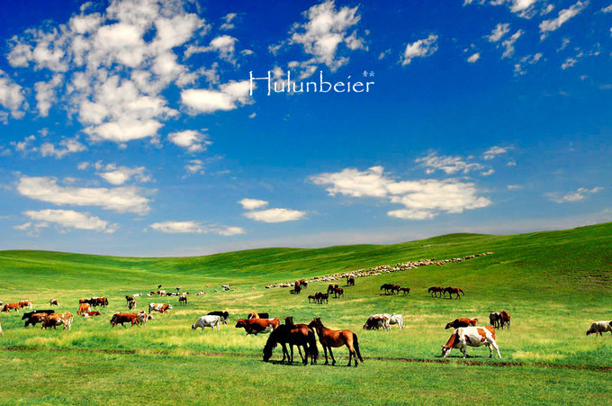 呼伦贝尔拍照攻略,呼伦贝尔美景拍照