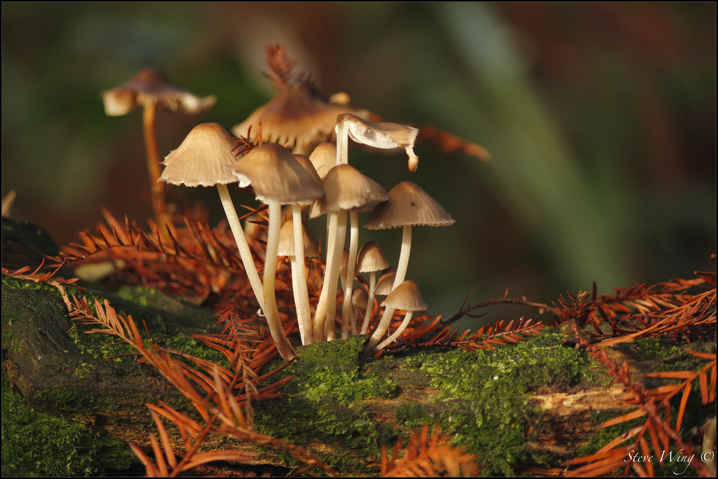 饭前慎入：不怕恶评如潮！揭秘“空调几年不洗就少活几年？”