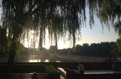 北京东城人力资源和社会保障局,东城区人保局副局长胡祥富