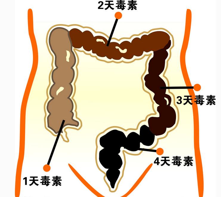 怎么在家做脸部排毒,怎么做水嫩女人