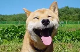 心理学相关知识解释生活现象,生活中必学100个心理学小技巧