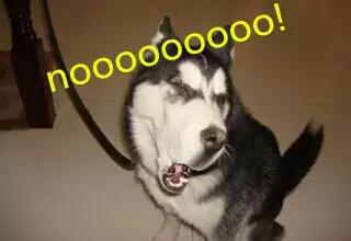 想练出一字马能有多难,为什么一字马那么难