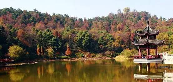 张家界到重庆自驾游攻略及费用,西安到张家界到重庆旅游攻略