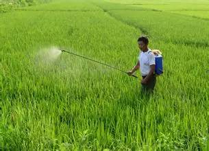 农药基本知识讲解大全,各种农药基础知识