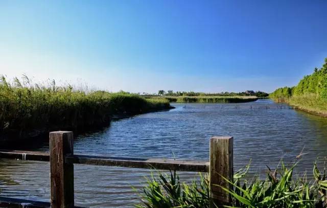 2021上海经济16区排名,上海经济最强的30个镇