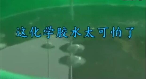 你吃的虾可能打了胶!简直令人发指,看吐了