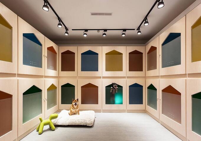 给宠物设计房子,汪星人宠物屋