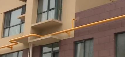 夏先生的典型事件,夏先生最后怎么样了