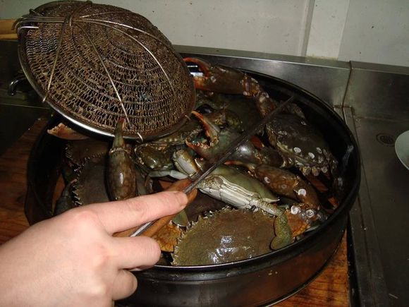 我是远洋渔民，爱钓鱼，更爱周游世界