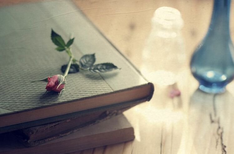 中级会计职称考试每日一练108,中级会计实务每日一练