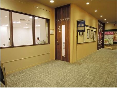 日本最豪华的购物中心,日本大的购物中心