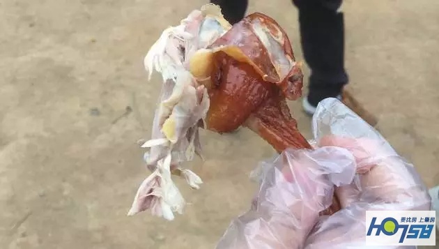 广东封开乡下农产品,肇庆封开县美食推荐馋到流口水