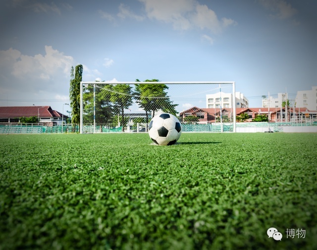 足球场的草坪为什么这么丝滑,足球场的草地是什么草