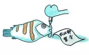 怎么样吃小龙虾才不过敏,怎样吃小龙虾最安全