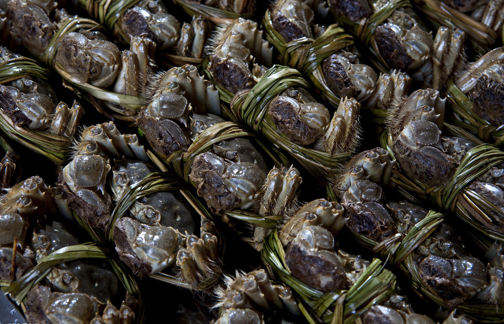 孕中篇｜焦点关注——孕期禁忌食物黑名单