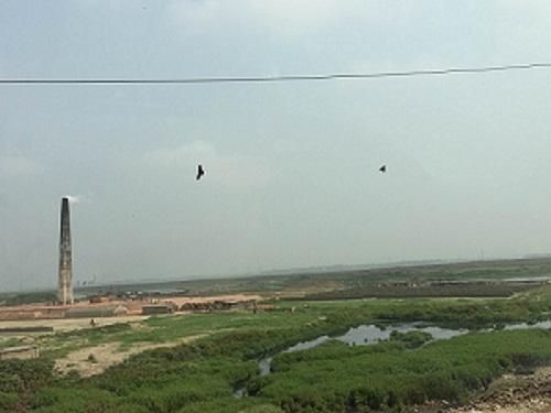 带你走进神秘中东,去孟加拉国旅游真实感受