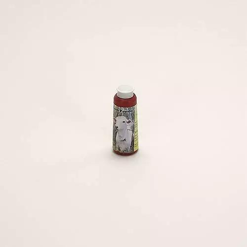 海关上的奇葩物件,海关禁品