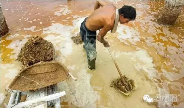 客家人捕鱼的视频,客家传统打鱼视频