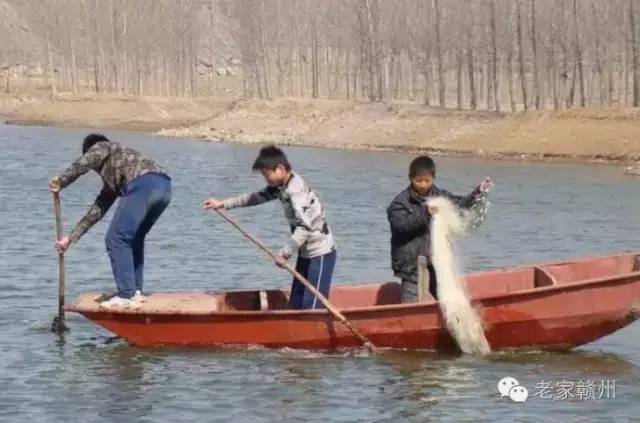 客家人捕鱼的视频,客家传统打鱼视频