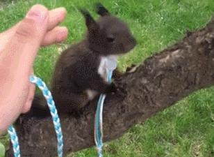 微商朋友圈卖东西赚钱吗,朋友圈的微商真的能赚钱吗