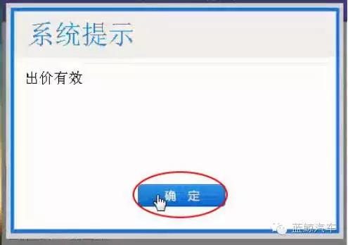 鲸点游玩攻略,鲸鲨一日游攻略