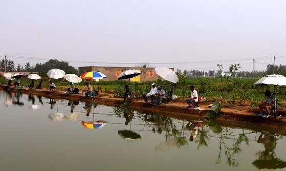 钓黑坑就是钓鱼人在炫富,不服可以来辩!