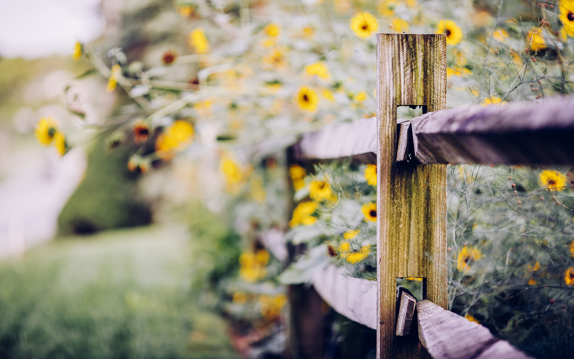 12生肖起名有学问,十二生肖的10大取名原则你知道吗