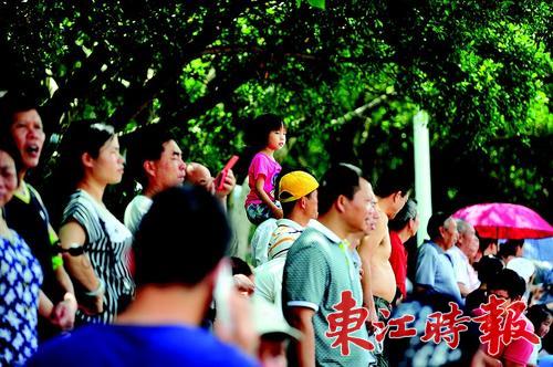 2023中华龙舟赛现场直播,今日珠江龙舟比赛视频