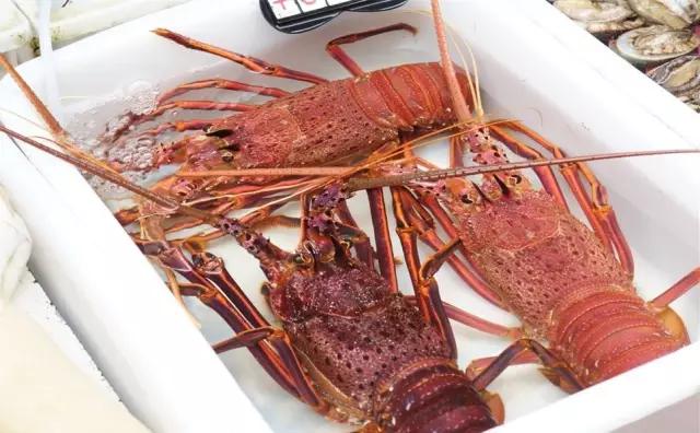 珠海最值得一去的特色街，我只去过5个，你呢？