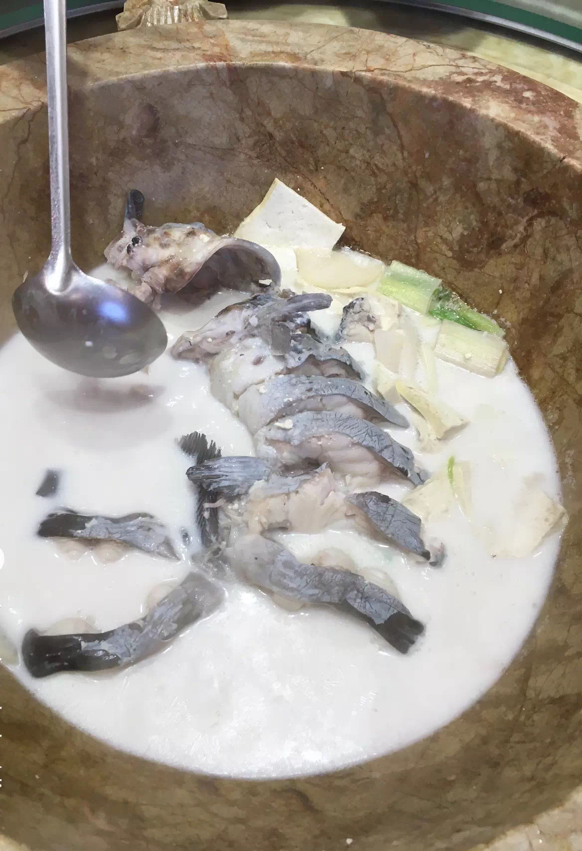 你们吃过这样的云南蒸汽石锅鱼吗,终于吃到了心心念念的云南石锅鱼