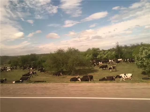 成都出发到贝加尔湖,我在贝加尔湖