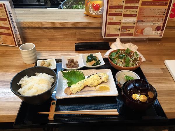 吃货探店打卡视频,日本十大美食小店