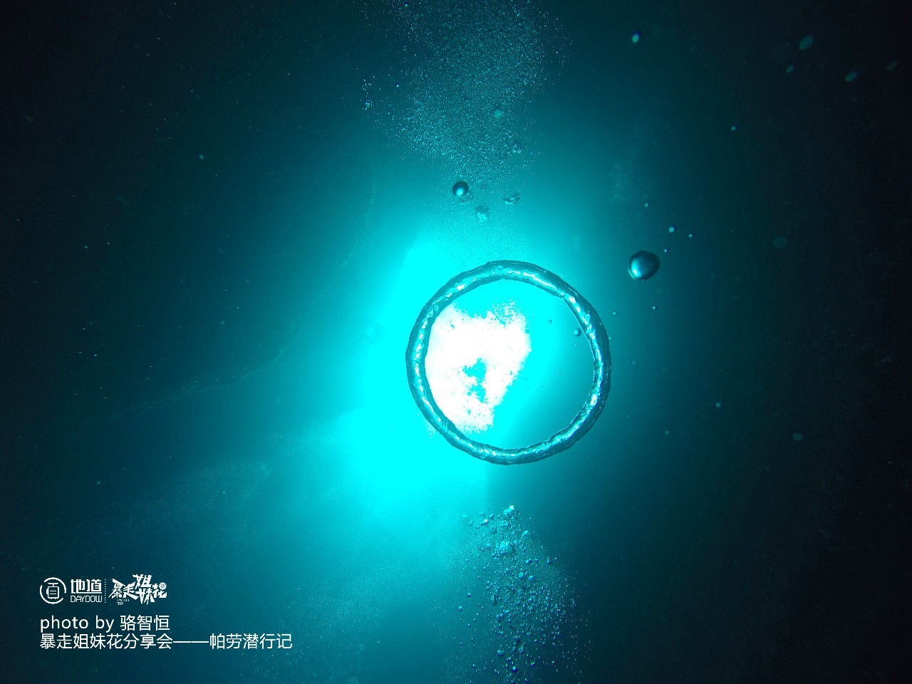 帕劳攻略,帕劳自由行全攻略