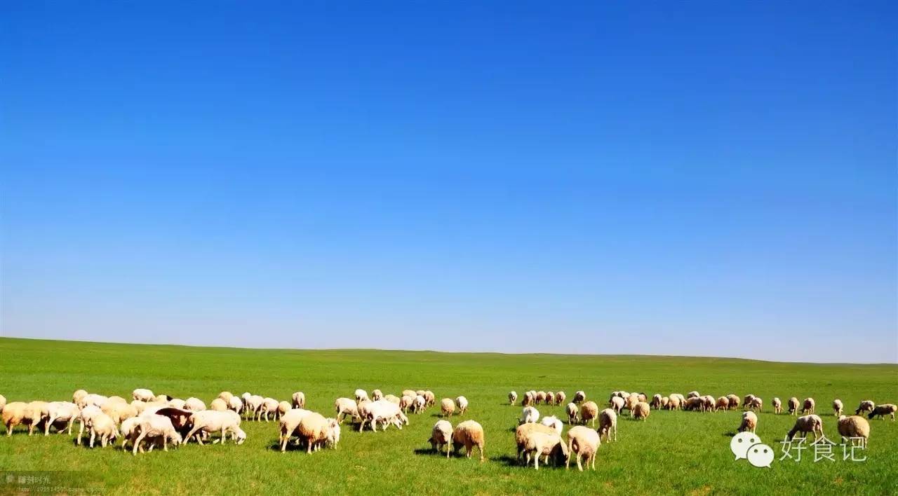 郑州特色村蒙古包,郑州道田蒙古包