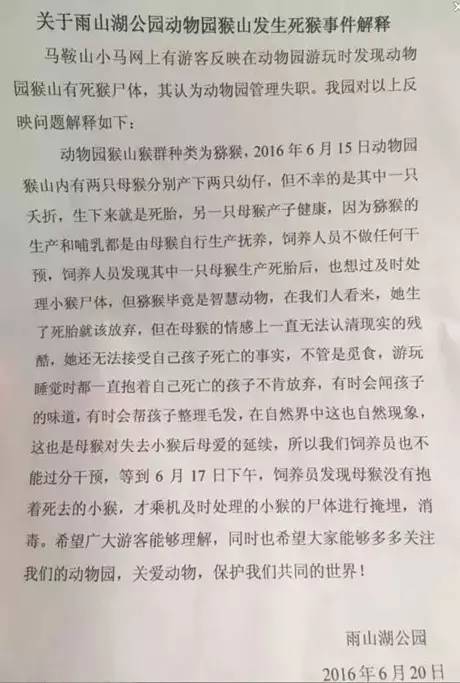 马鞍山雨山湖野生动物园,马鞍山雨山湖动物园白虎