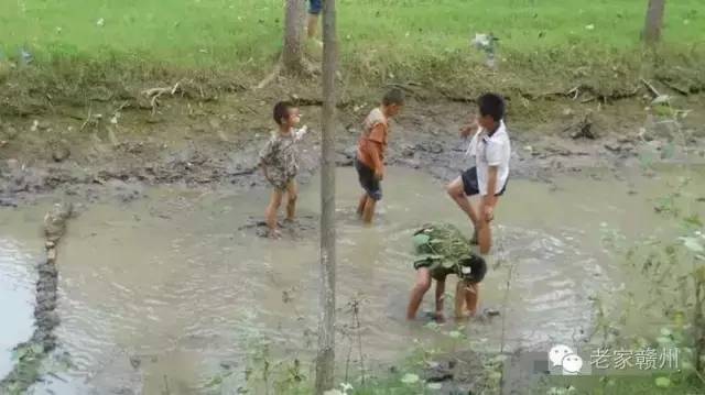客家人捕鱼的视频,客家传统打鱼视频