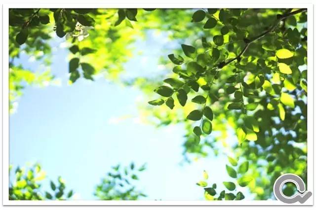 鎶曡祫鎬绘槸鍙樺够鑾祴,鎶曡祫涓殑鍥涘杞洖