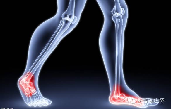 关于奥林匹克运动会的知识,奥林匹克运动会知识科普