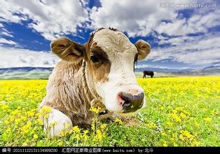 付出一定有收获吗,只要付出了就会有收获对吗