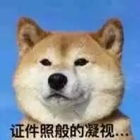 汝非瓜，焉知瓜之不应乎？