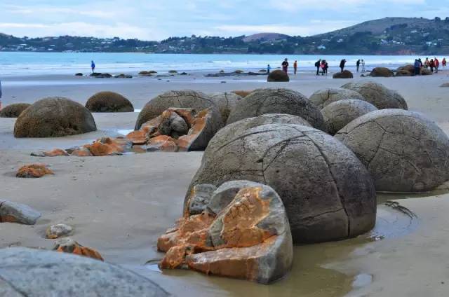新西兰拉基圆石,摩拉基大圆石早上可以看得见吗