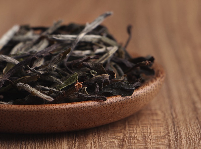 喂，福建白，你们家来了个亲戚叫云南白！