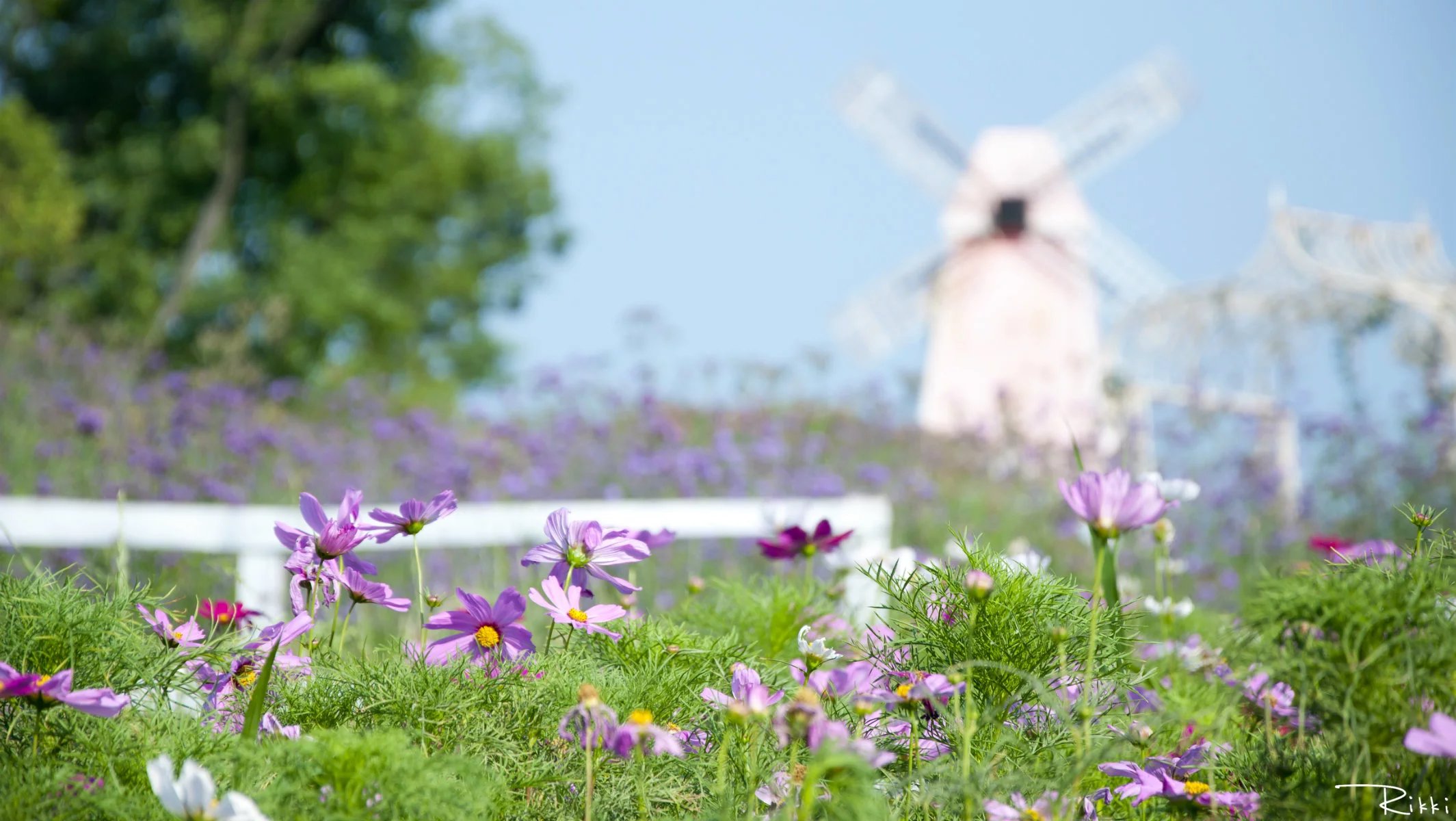 巢湖碧桂园南岸,巢湖南岸碧桂园