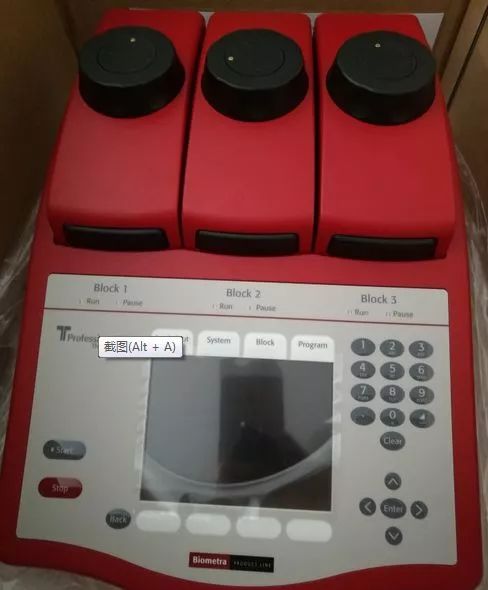 阿拉看环境｜还记得记忆中的西郊公园吗？