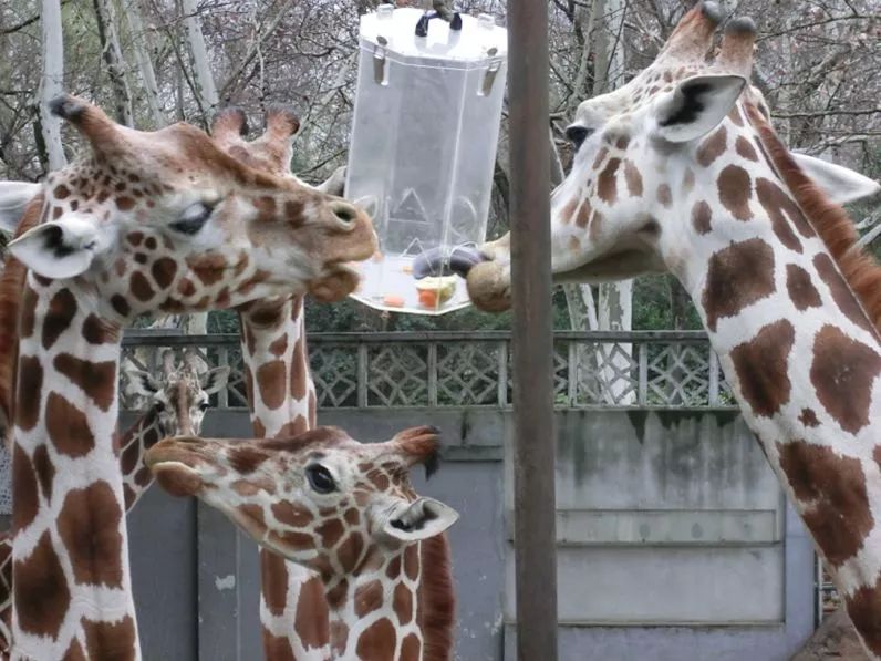 阿拉看宁波,阿拉看荷花