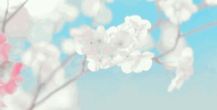 测试你和别人是否有缘,测试你和异性有缘吗